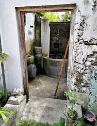 Abandoned building by plants