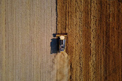 Combine harvester working in agricultural field. harvest season