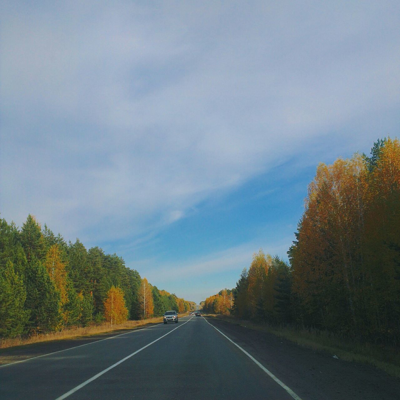 the way forward, transportation, road, diminishing perspective, road marking, tree, vanishing point, sky, country road, empty road, cloud - sky, tranquility, tranquil scene, empty, nature, asphalt, double yellow line, scenics, beauty in nature, outdoors