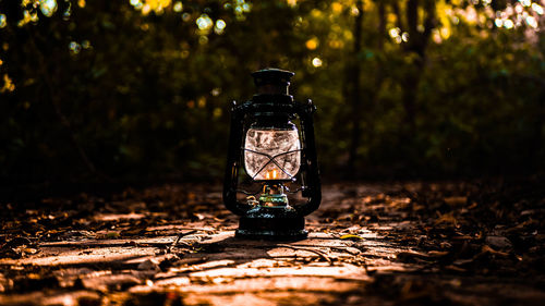 Illuminated electric lamp on field by trees at night