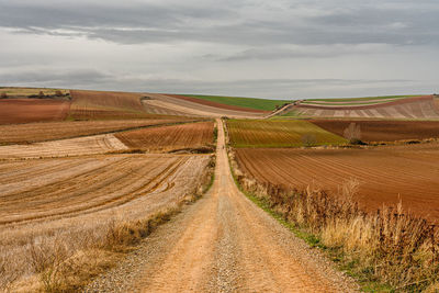 Dirt road amidst field against sky