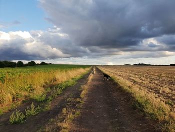 Dirt road amidst field against sky