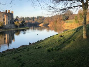 Scenic view of lake by trees and buildings against sky