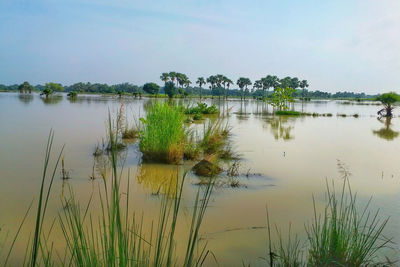 Scenic view of lake against sky