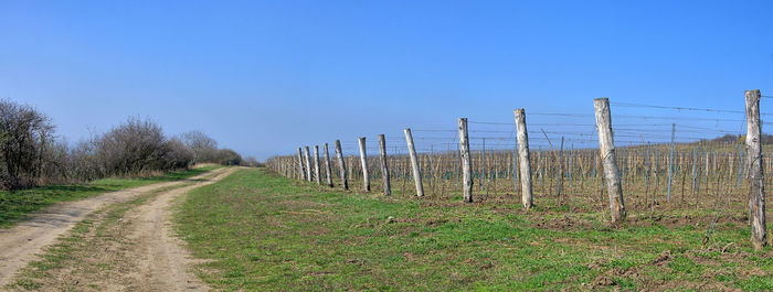 Road amidst field against clear sky