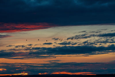 Low angle view of scenic sky