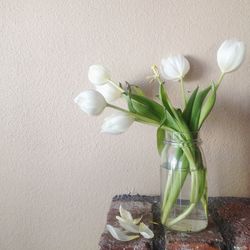 Close-up of flowers in vase