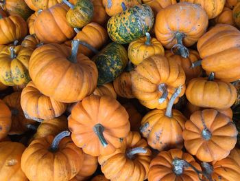 Full frame shot of pumpkins for sale