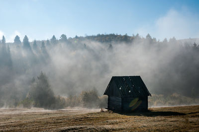 Log cabin on field against mountain in forest during foggy weather