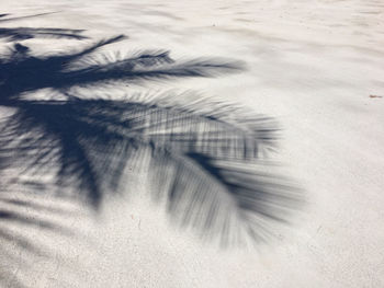 Full frame shot of sunlight