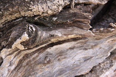 Full frame shot of rock