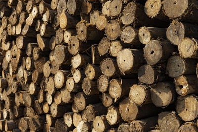 Full frame shot of logs in forest