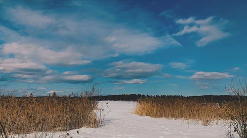 Scenic view of field against sky during winter