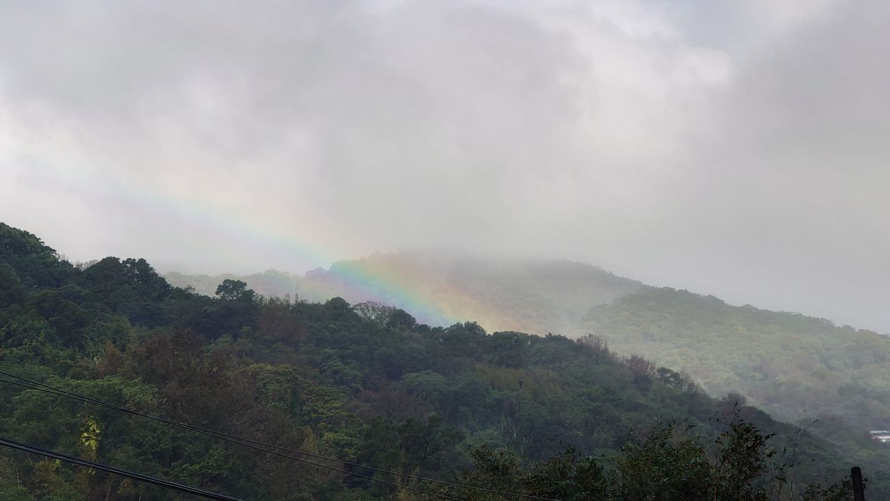 rainbow, environment, mountain, tree, scenics - nature, beauty in nature, nature, plant, sky, landscape, land, cloud, fog, forest, multi colored, no people, mountain range, hill station, tranquility, travel, tourism, outdoors, rain, travel destinations, wet, social issues, tranquil scene, non-urban scene, day