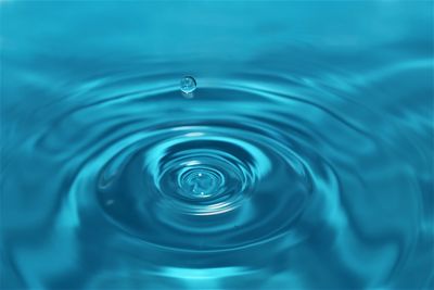 Close-up of water drop
