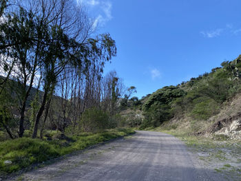 Empty road amidst trees against blue sky