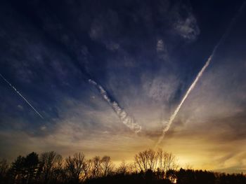 Low angle view of silhouette trees against sky during sunset