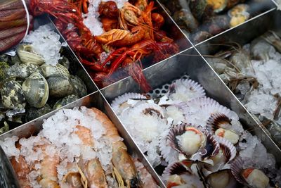 High angle view of seafood in containers at market stall