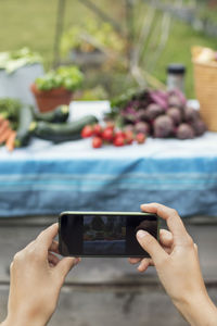 Cropped image of woman photographing freshly harvested vegetables on table at urban garden