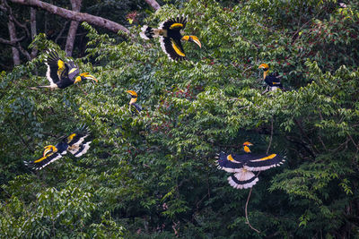 High angle view of birds on land