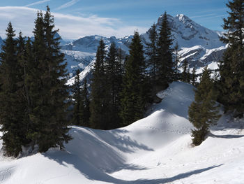 Scenic view of snow covered mountains