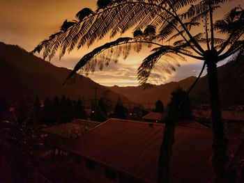 Silhouette tree and buildings against sky during sunset