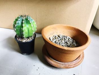 High angle view of succulent plant in pot