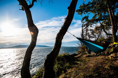 Panoramic shot of tree trunk by sea against sky