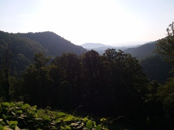 Scenic view of trees and mountains against sky