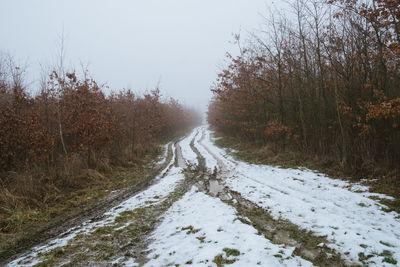 Snow covered road amidst trees against sky