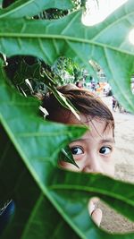 Portrait of girl with green leaves