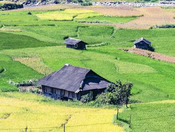 Scenic view of agricultural field