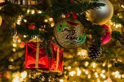 Close-up of christmas decorations hanging on tree