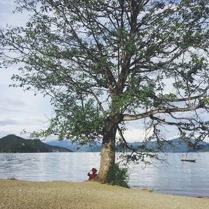 Man sitting on tree by lake against sky