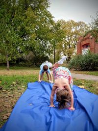 Siblings playing on blue sheet in yard