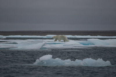 Scenic view of sea against sky during winter