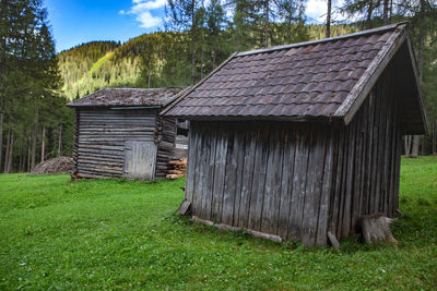 Wooden house on field by trees and plants