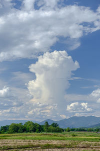 Scenic view of field against sky