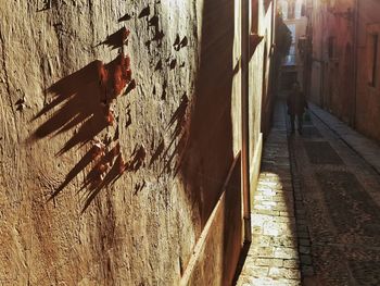 Shadow of man on building