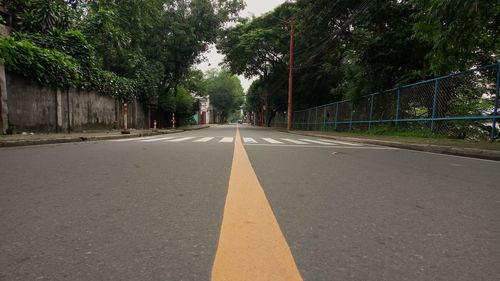 Surface level of road along trees