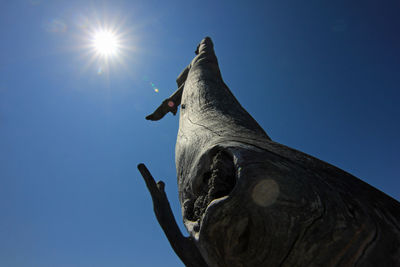 Low angle view of eagle against sky