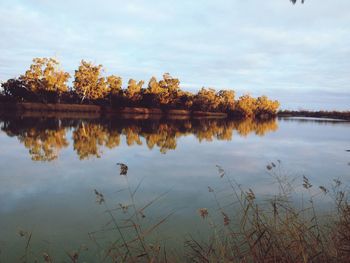 Reflection of trees in lake against sky