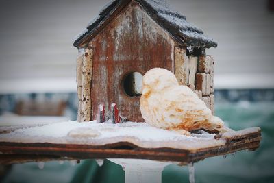 Close-up of rusty wooden post on snow