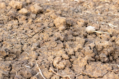 Cracked ground from rural droughts and water shortages