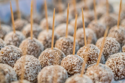 Close-up of chocolates with coconut flakes for sale at market