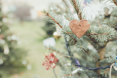 Diy handmade cookie decoration on christmas tree, copy space