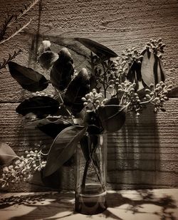 Close-up of flower plant