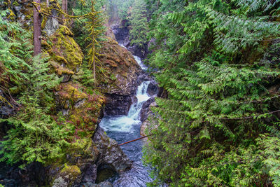 Landscape shot of twin falls in the washington state.