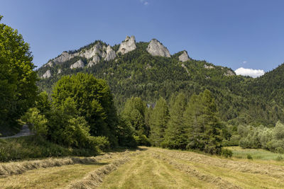 Panoramic view of landscape against clear sky