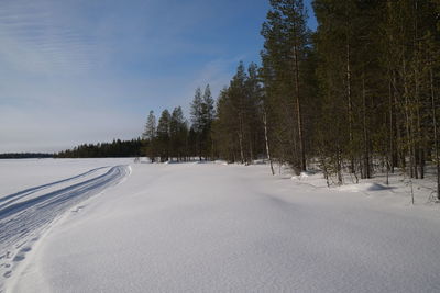 snow